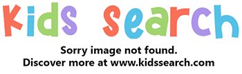 Kids Search Logo